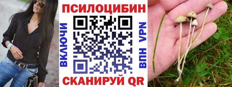 закладка  Алупка  Псилоцибиновые грибы MAGIC MUSHROOMS 